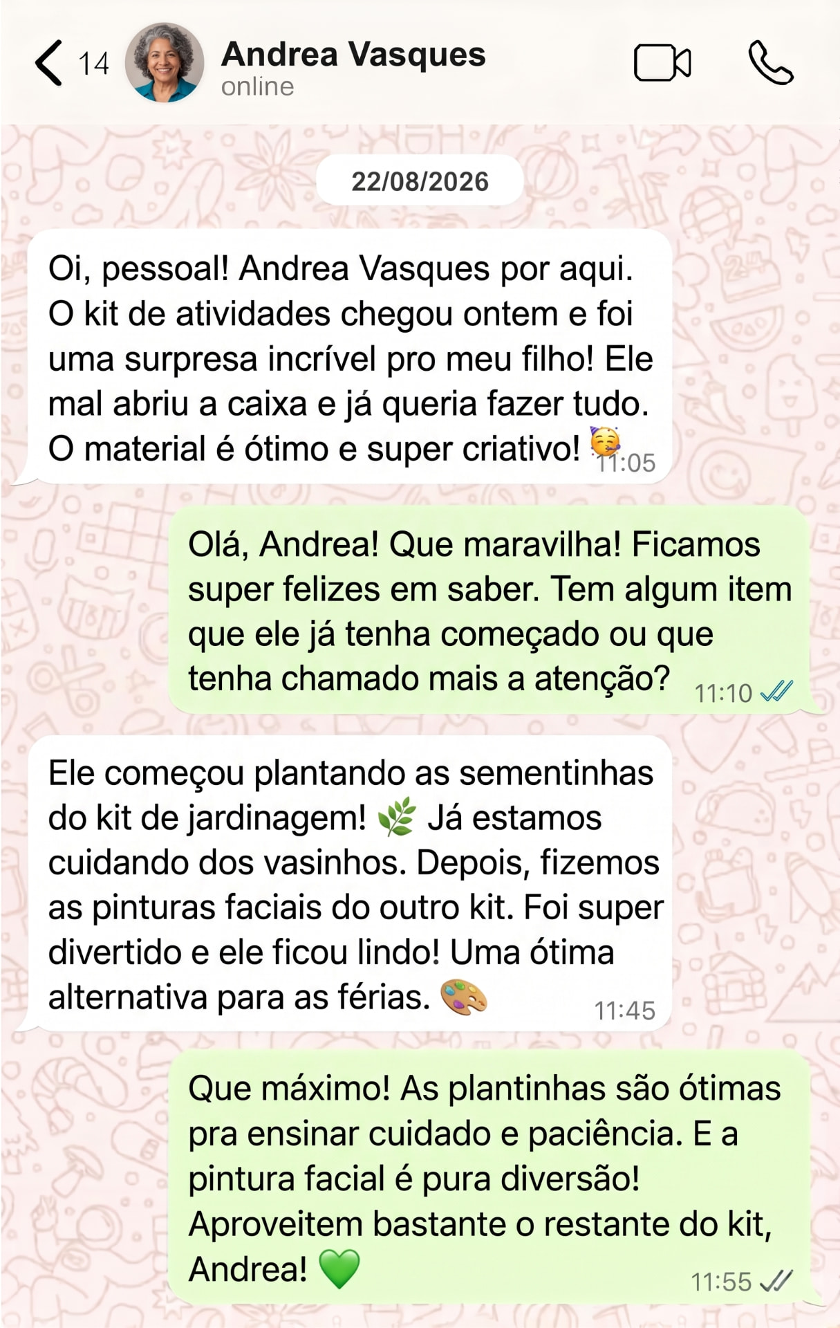 Depoimento de Andrea Vasques no WhatsApp